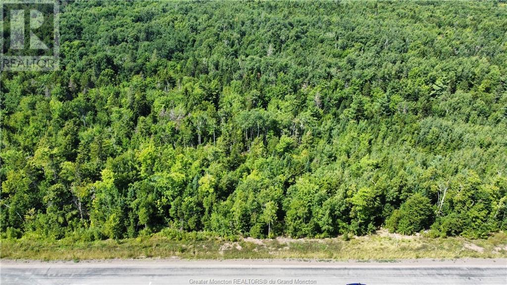 Lot 21-39 Orchard Avenue, Irishtown, New Brunswick  E1H 0J5 - Photo 1 - M135565