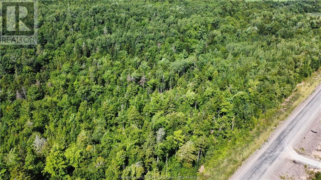 Lot 21-39 Orchard Avenue, Irishtown, New Brunswick  E1H 0J5 - Photo 4 - M135565