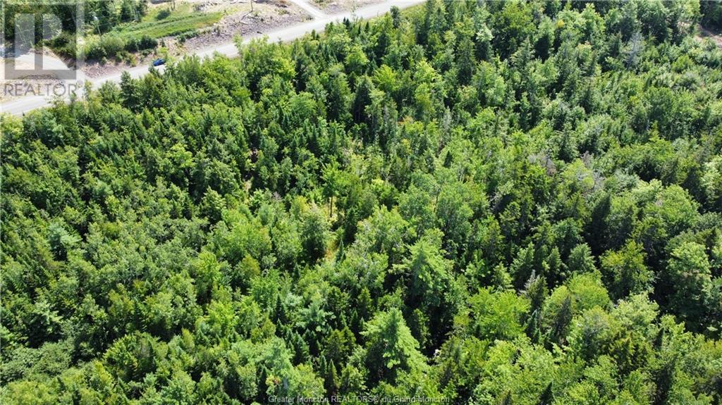 Lot 21-39 Orchard Avenue, Irishtown, New Brunswick  E1H 0J5 - Photo 3 - M135565
