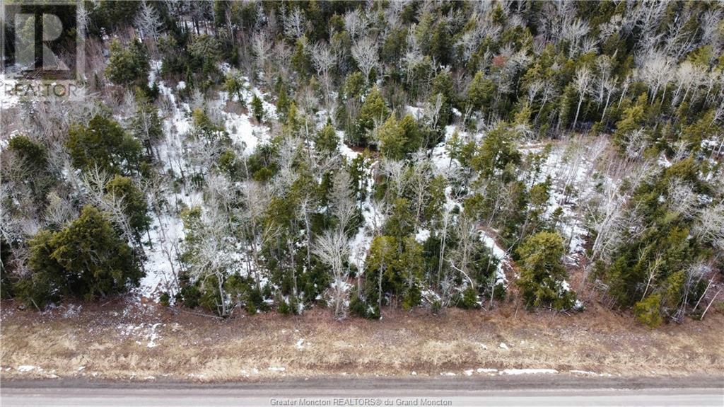 Lot 21-39 Orchard Avenue, Irishtown, New Brunswick  E1H 0J5 - Photo 5 - M135565