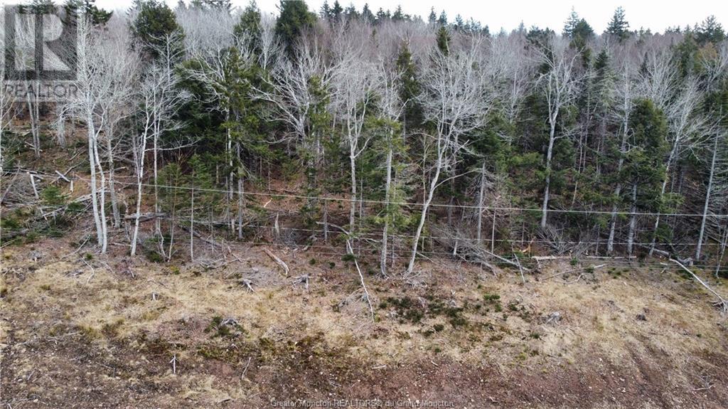 Lot 21-56 Orchard Avenue, Irishtown, New Brunswick  E1H 0J5 - Photo 4 - M135545