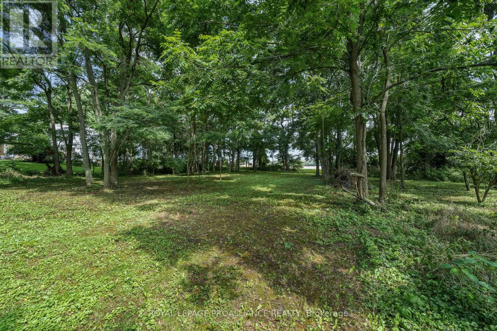 Pt Lot3 Cressy Bayside Road, Prince Edward County (Athol), Ontario  K0K 2T0 - Photo 24 - X9054144