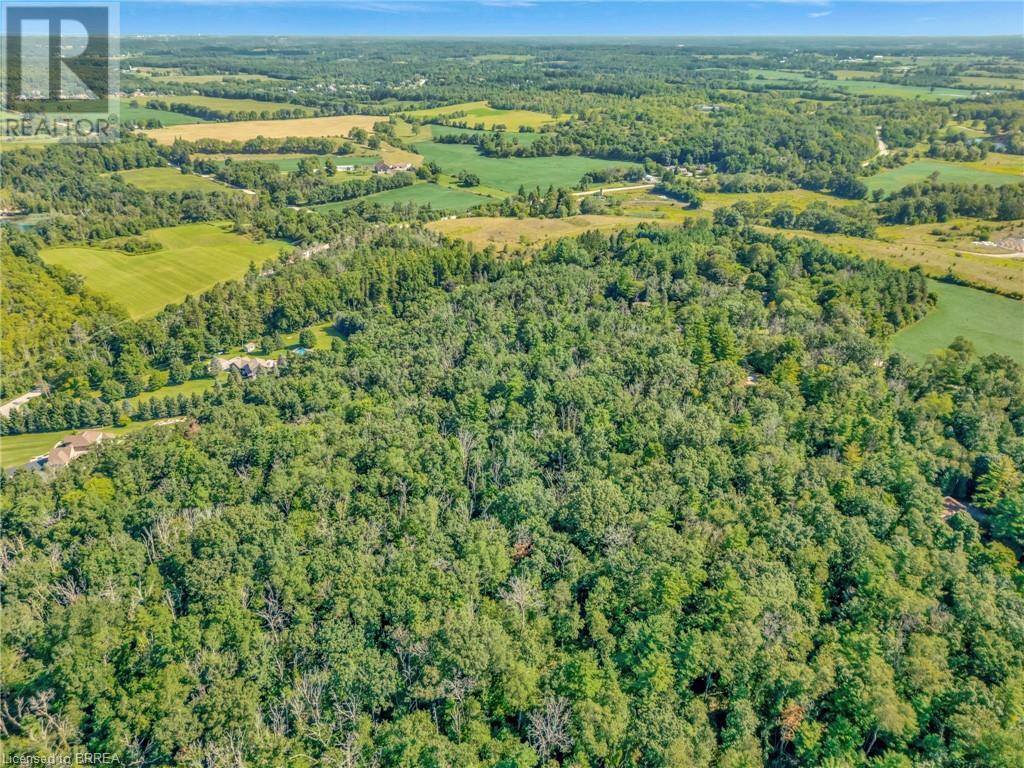 169 Clarke Road, Paris, Ontario  N3L 3E1 - Photo 4 - 40635878