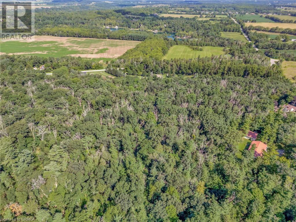 169 Clarke Road, Paris, Ontario  N3L 3E1 - Photo 9 - 40635878