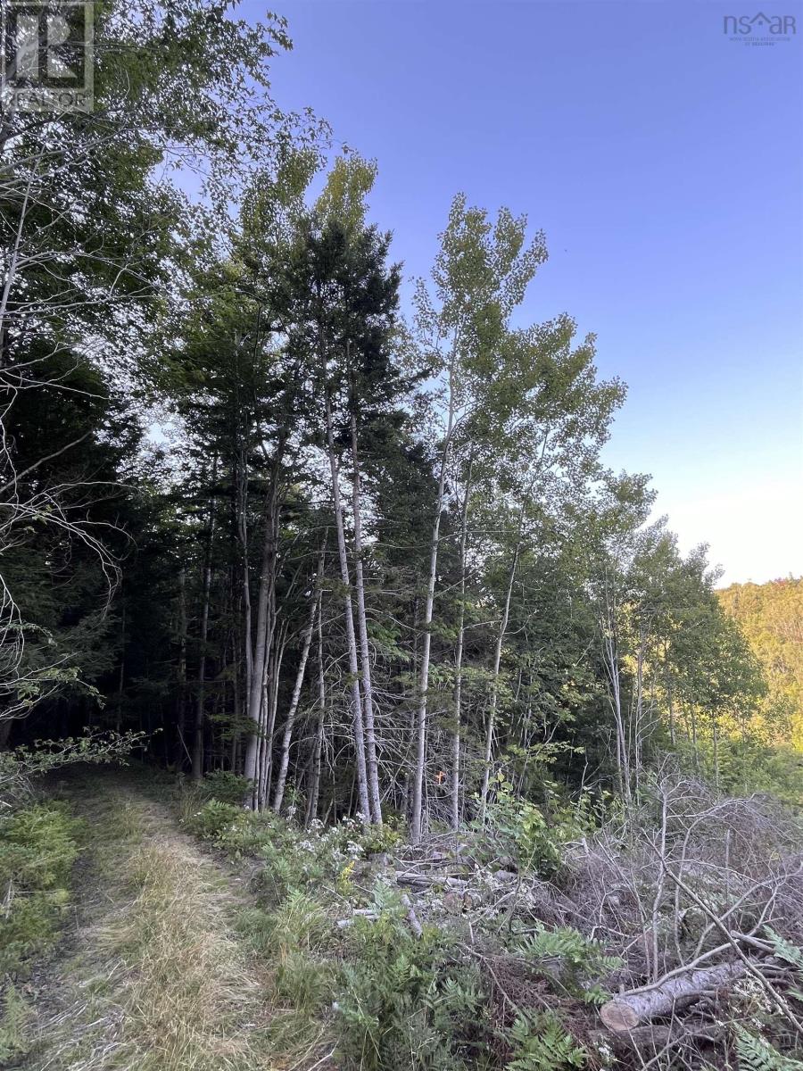 Lot Clementsport Road, Clementsport, Nova Scotia  B0S 1E0 - Photo 8 - 202420588