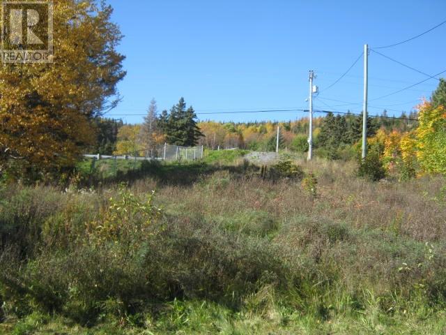 628 Main Street, Johns Beach, Newfoundland & Labrador  A0L 1A0 - Photo 7 - 1276617