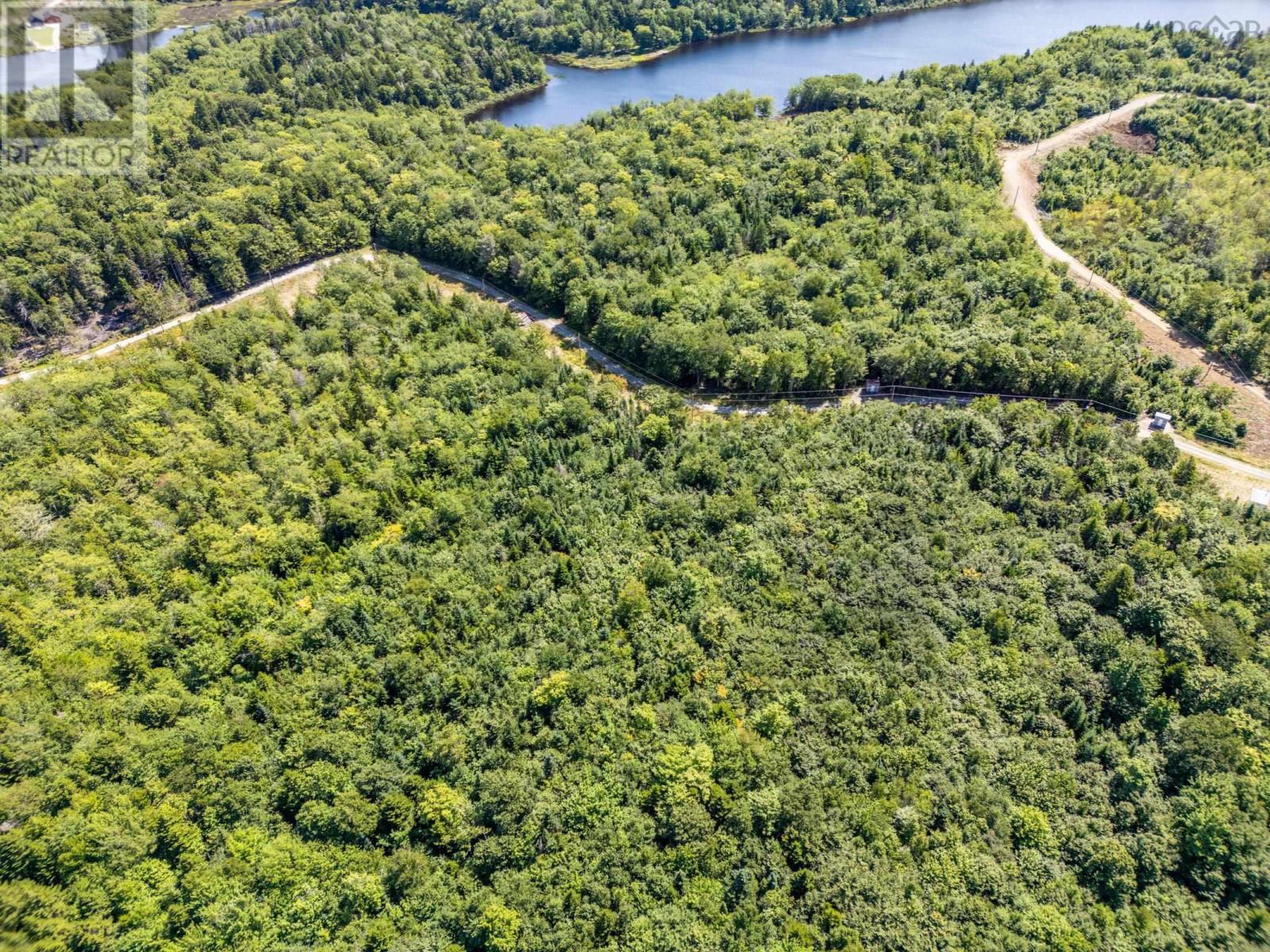 140 Henriette Bridge Road, Concession, Nova Scotia  B0W 1M0 - Photo 4 - 202420594