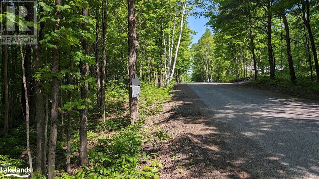 Lot 2 Tally Ho Winter Park Road, Lake Of Bays, Ontario  P1H 2E5 - Photo 1 - 40637744