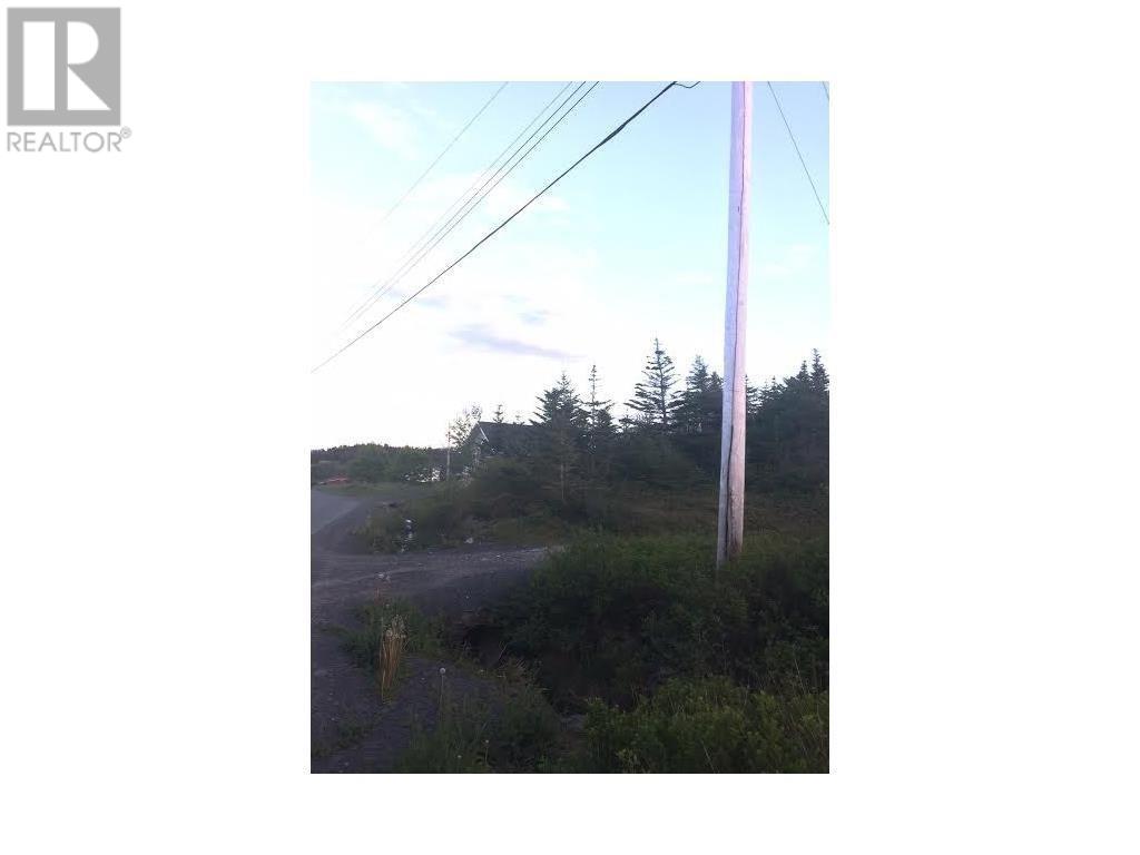 163 Ridge Road, Spaniards Bay, Newfoundland & Labrador  A0A 3X0 - Photo 2 - 1276618