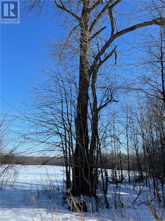 . Happy Hollow Road, Vankleek Hill, Ontario  K0B 1R0 - Photo 24 - 1408776