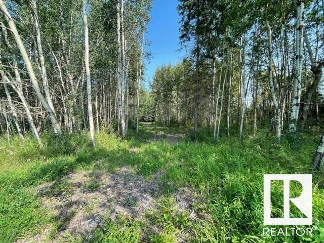 Lot 9 54426 Rge Rd 40, Rural Lac Ste. Anne County, Alberta  T0E 0E0 - Photo 6 - E4402876