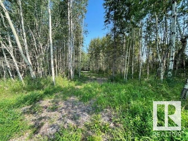 Lot 9 54426 Rge Rd 40, Rural Lac Ste. Anne County, Alberta  T0E 0E0 - Photo 16 - E4402876