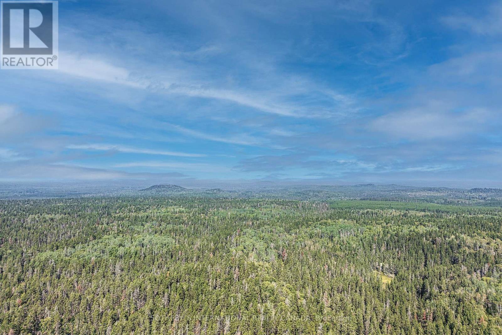 Lot 8 Munro Lake Road, Cochrane Remote Area, Ontario  A0A 0A0 - Photo 4 - X9269786