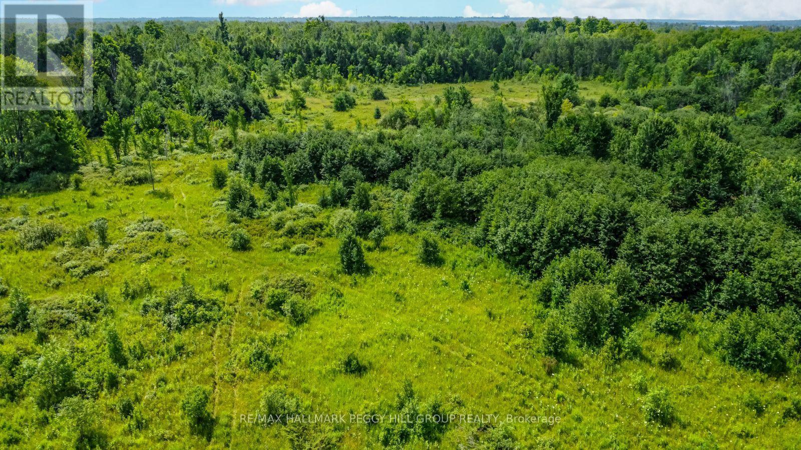 Lot 5 Concession 5, Kawartha Lakes, Ontario  K0M 2B0 - Photo 4 - X9269807