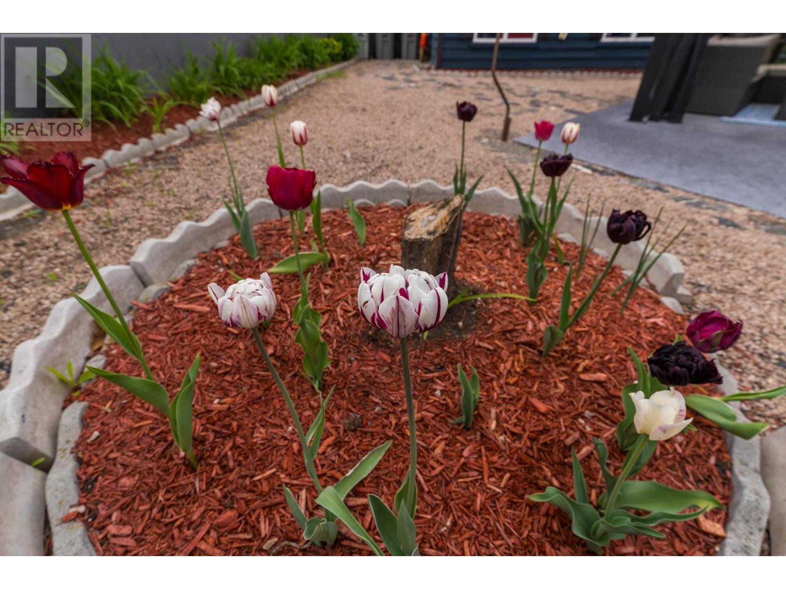 2599 Qu'appelle Blvd, Kamloops, British Columbia  V2E 1V2 - Photo 33 - 180549