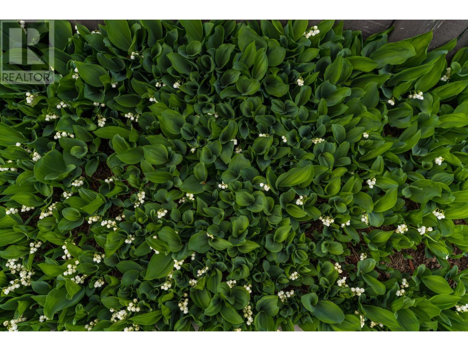 2599 Qu'appelle Blvd, Kamloops, British Columbia  V2E 1V2 - Photo 42 - 180549