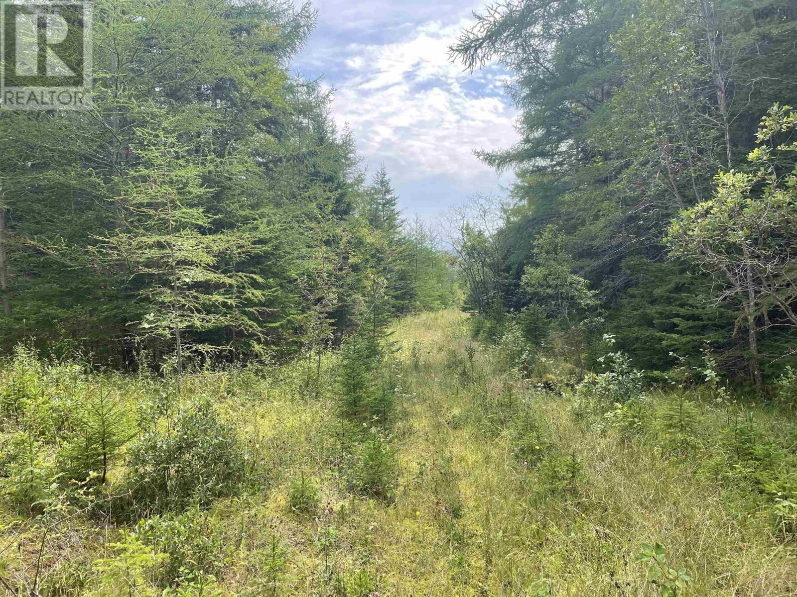 Highway 105, Baddeck, Nova Scotia  B0E 1B0 - Photo 1 - 202419540