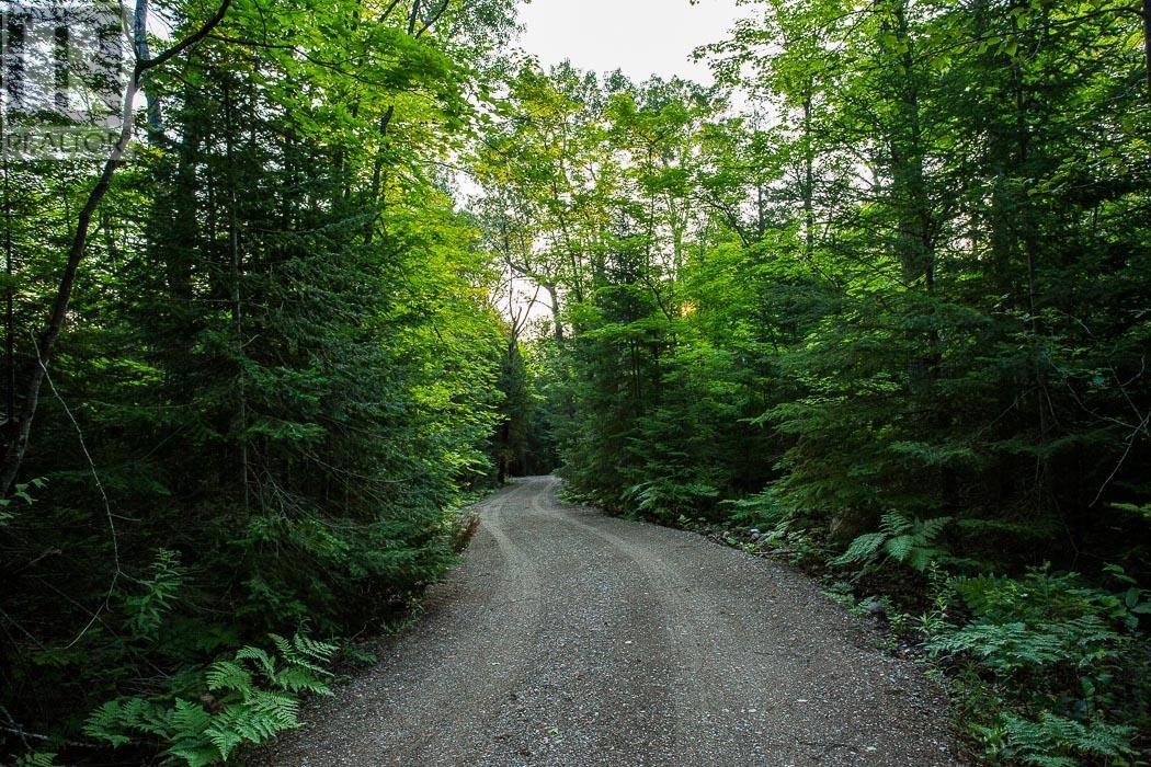 Lot 27 Richmond Bay Rd, Hilton Township, St. Joseph Island, Ontario  P0R 1G0 - Photo 12 - SM133145