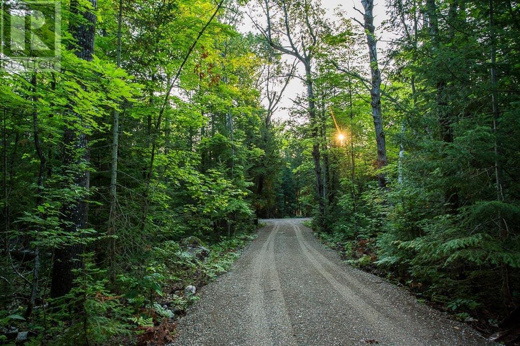 Lot 27 Richmond Bay Rd, Hilton Township, St. Joseph Island, Ontario  P0R 1G0 - Photo 13 - SM133145