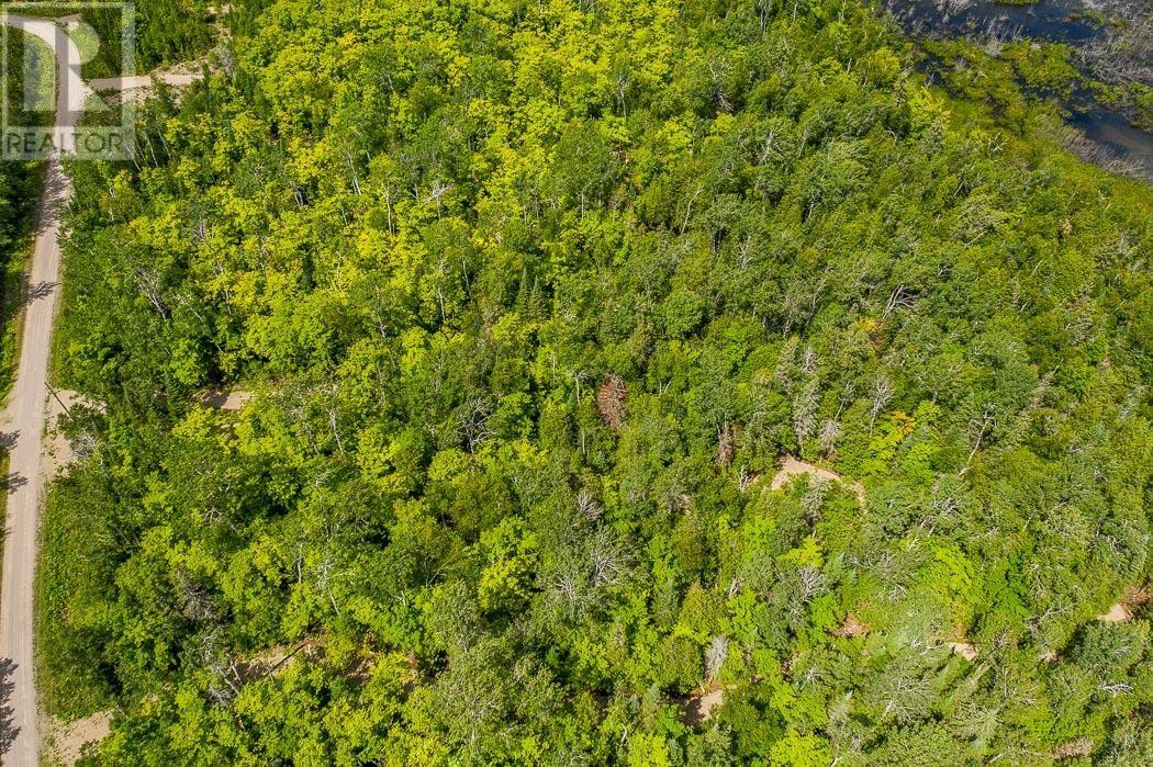 Lot 27 Richmond Bay Rd, Hilton Township, St. Joseph Island, Ontario  P0R 1G0 - Photo 3 - SM133145