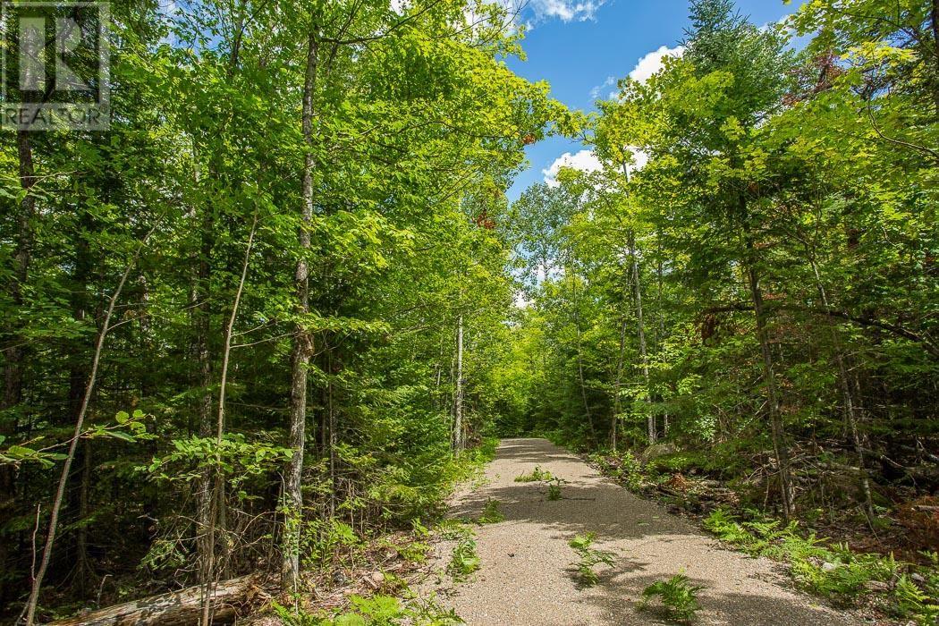 Lot 27 Richmond Bay Rd, Hilton Township, St. Joseph Island, Ontario  P0R 1G0 - Photo 5 - SM133145