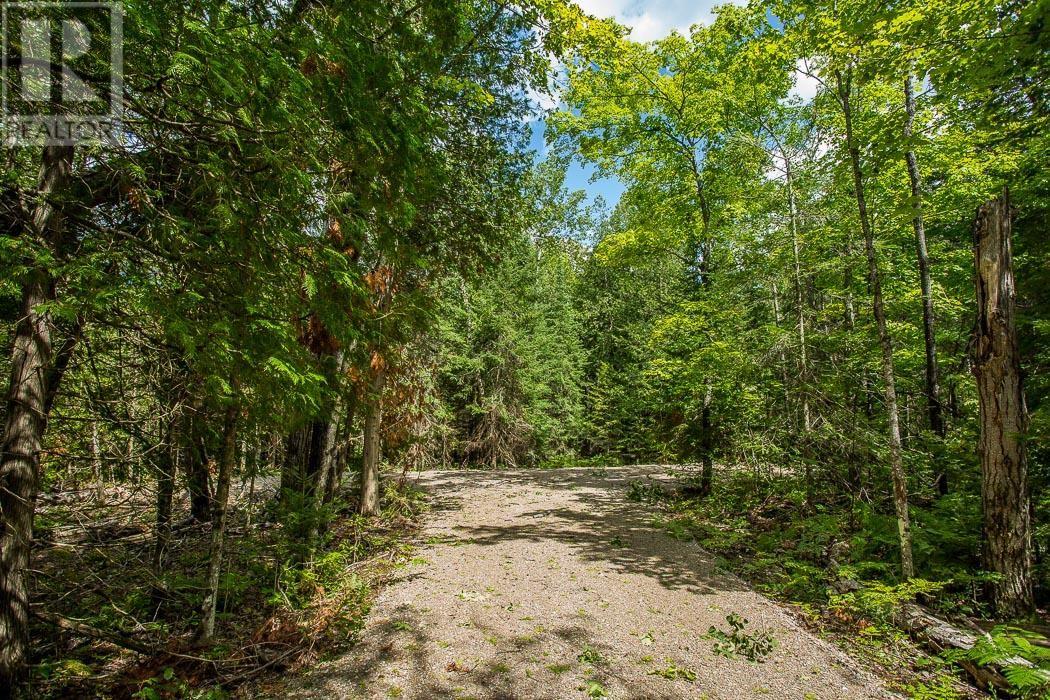 Lot 27 Richmond Bay Rd, Hilton Township, St. Joseph Island, Ontario  P0R 1G0 - Photo 6 - SM133145