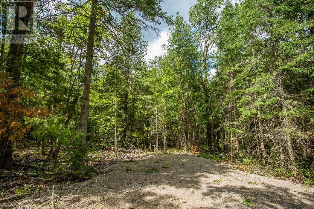 Lot 27 Richmond Bay Rd, Hilton Township, St. Joseph Island, Ontario  P0R 1G0 - Photo 7 - SM133145