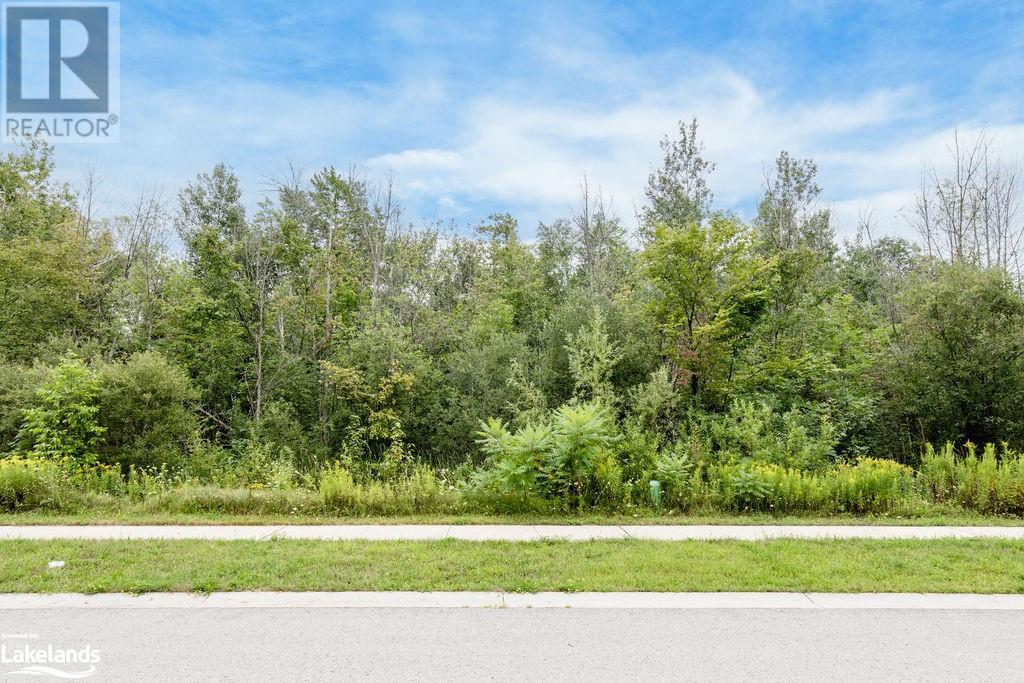 Part Lot 25 Robinson Road, Wasaga Beach, Ontario  L9Z 2Z4 - Photo 1 - 40634642