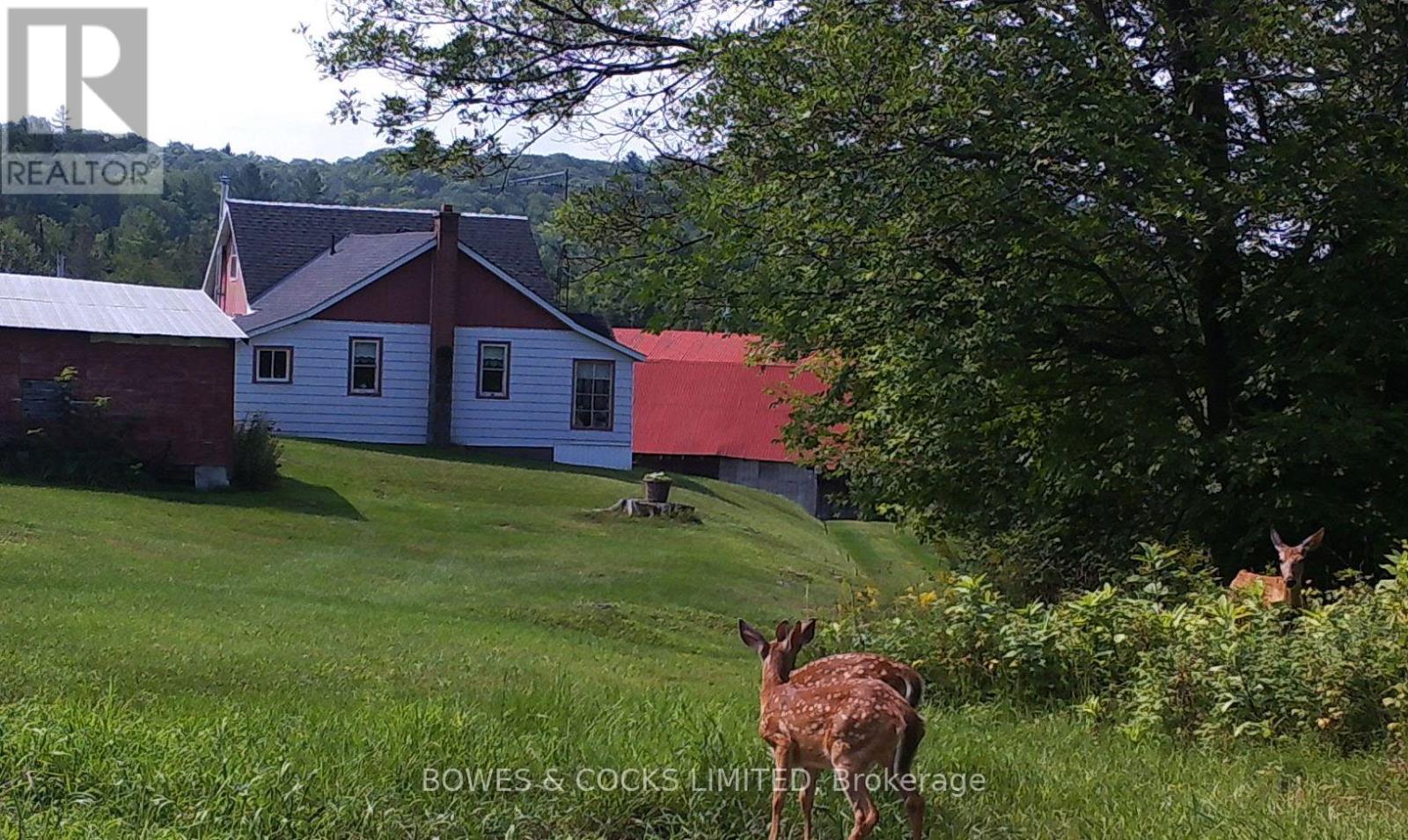 114 Moore Lane, Bancroft, Ontario  K0L 1C0 - Photo 34 - X8291580