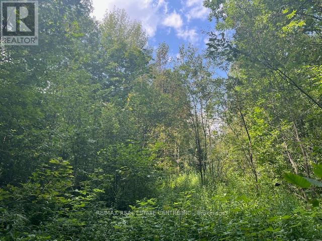 Pt Lt44 Chatsworth  24 Road, Chatsworth, Ontario  N0H 1R0 - Photo 17 - X9271617