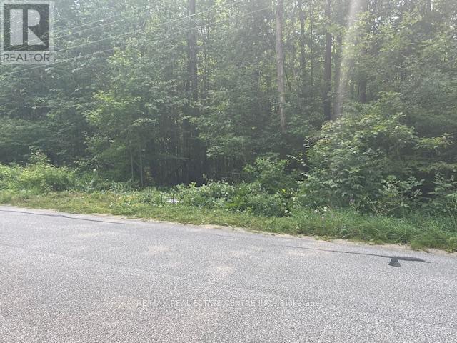 Pt Lt44 Chatsworth  24 Road, Chatsworth, Ontario  N0H 1R0 - Photo 2 - X9271617