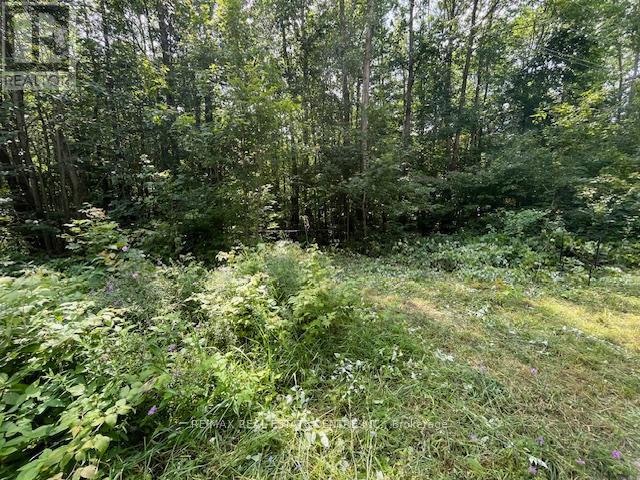 Pt Lt44 Chatsworth  24 Road, Chatsworth, Ontario  N0H 1R0 - Photo 8 - X9271617