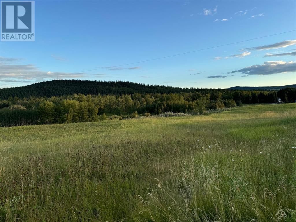 Hwy 22, Rural Foothills County, Alberta  T1S 5E1 - Photo 11 - A2160664