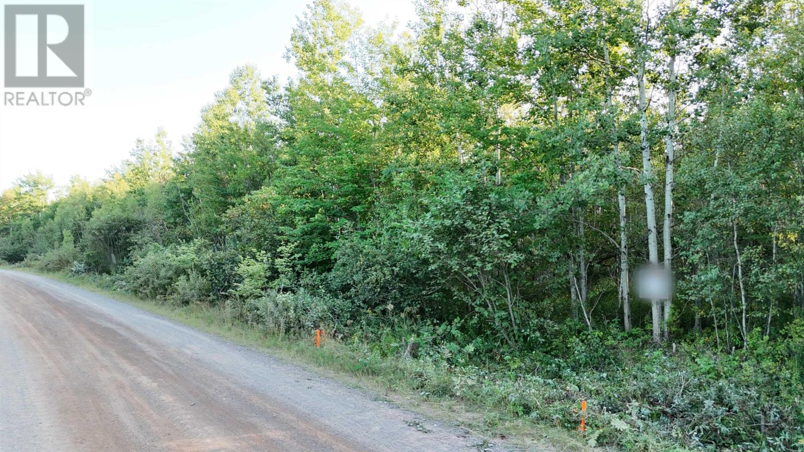 Lot 10 Joudrey Road, Louisville, Nova Scotia  B0K 1N0 - Photo 2 - 202420822