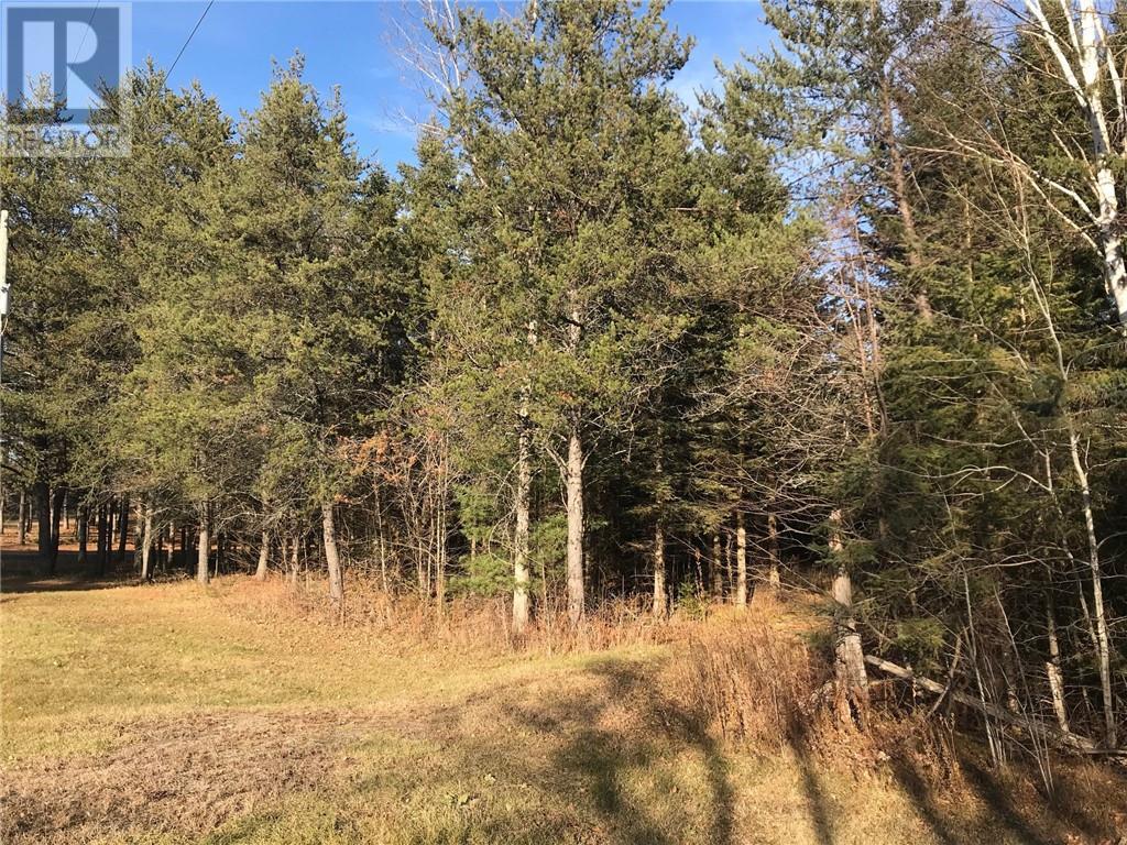 000 Dombroskie Road, Haley Station, Ontario  K0J 1Y0 - Photo 12 - 1408744