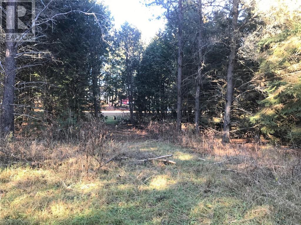 000 Dombroskie Road, Haley Station, Ontario  K0J 1Y0 - Photo 13 - 1408744