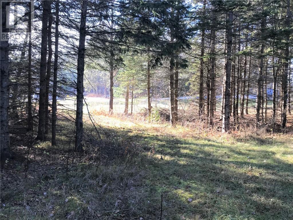 000 Dombroskie Road, Haley Station, Ontario  K0J 1Y0 - Photo 14 - 1408744