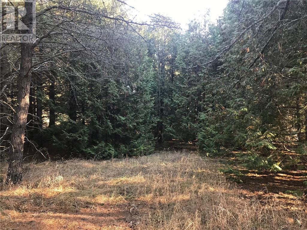 000 Dombroskie Road, Haley Station, Ontario  K0J 1Y0 - Photo 16 - 1408744