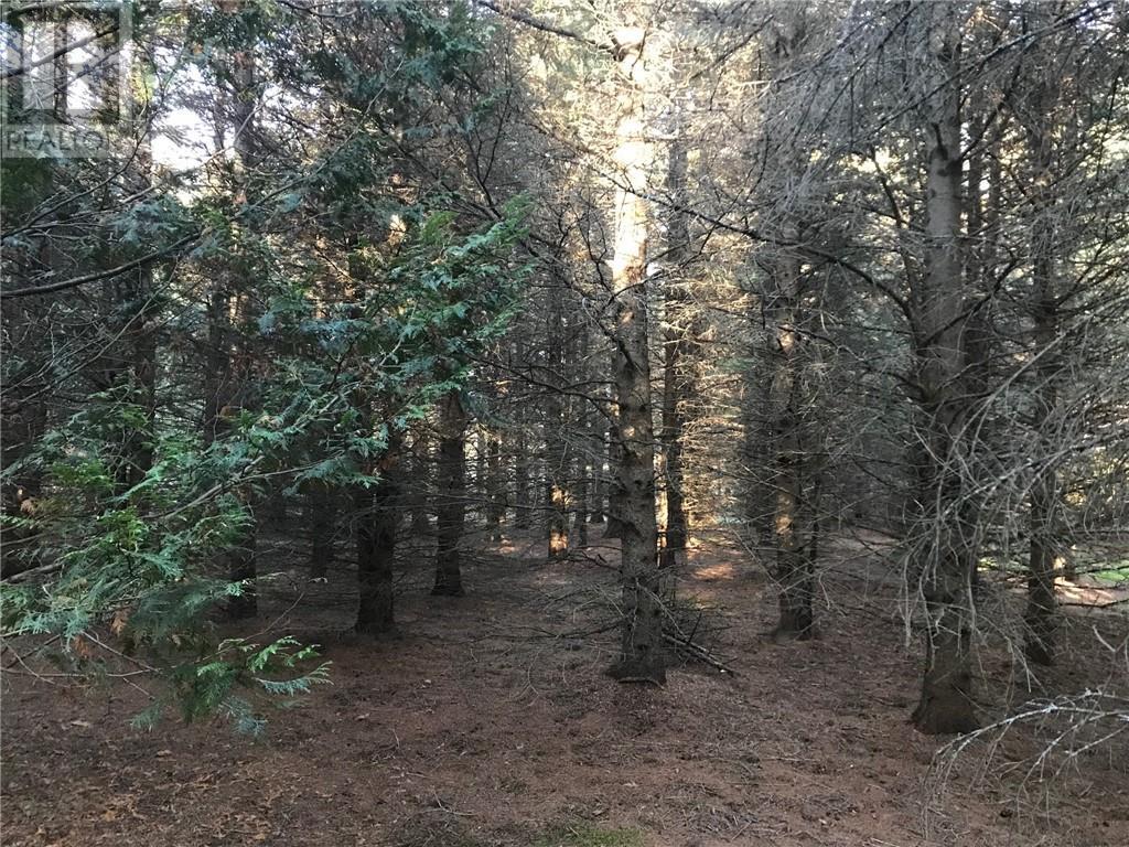 000 Dombroskie Road, Haley Station, Ontario  K0J 1Y0 - Photo 17 - 1408744