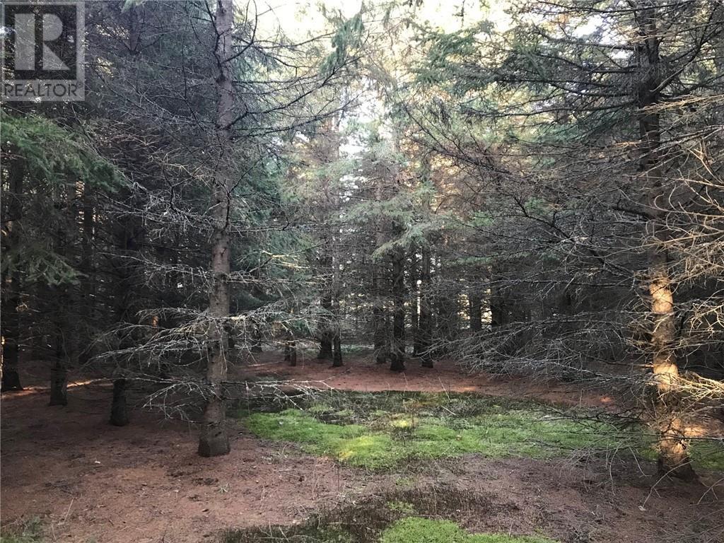 000 Dombroskie Road, Haley Station, Ontario  K0J 1Y0 - Photo 23 - 1408744