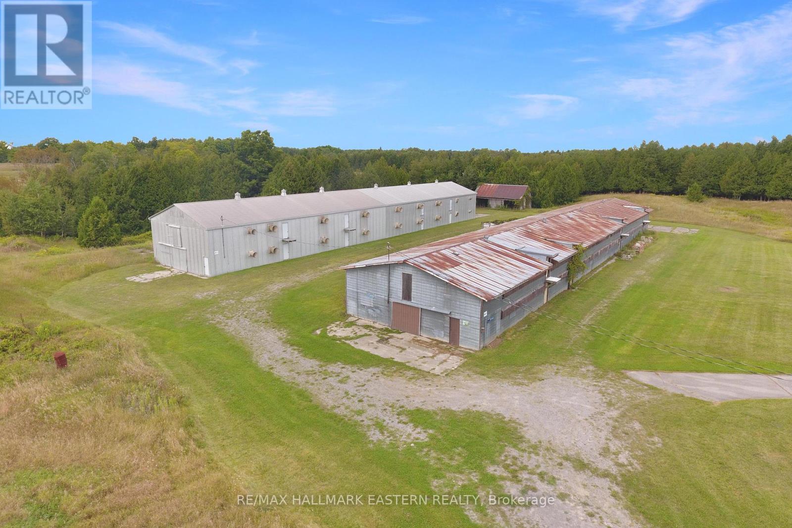 440 County Rd 40, Douro-Dummer, Ontario  K0L 2V0 - Photo 10 - X9272240