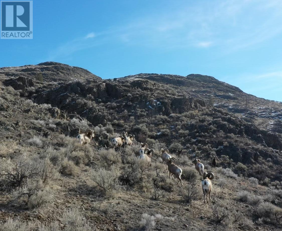 6416 Ashcroft Road, Kamloops, British Columbia   - Photo 60 - 180591