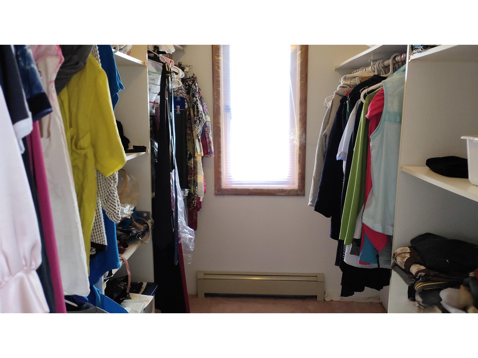 12978 96a Avenue, Surrey, British Columbia  V3T 5K5 - Photo 25 - R2918851