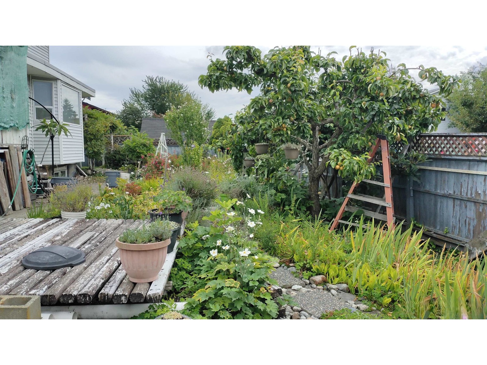 12978 96a Avenue, Surrey, British Columbia  V3T 5K5 - Photo 39 - R2918851