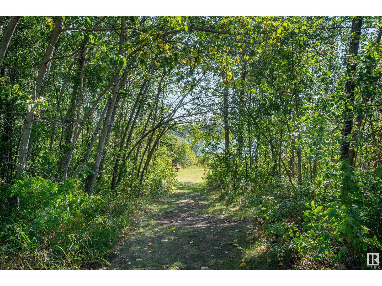 #121 56512 Rng Rd 111, Rural St. Paul County, Alberta  T0A 2G0 - Photo 54 - E4403906