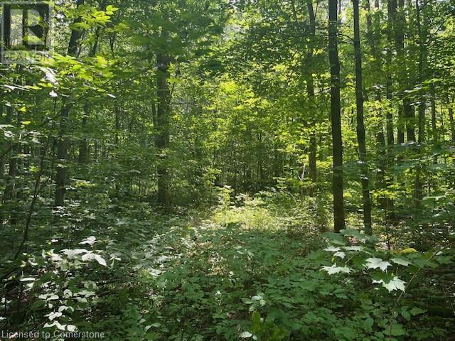 Pt Lt44 24th Side Road, Chatsworth, Ontario  N0H 1R0 - Photo 11 - 40638895