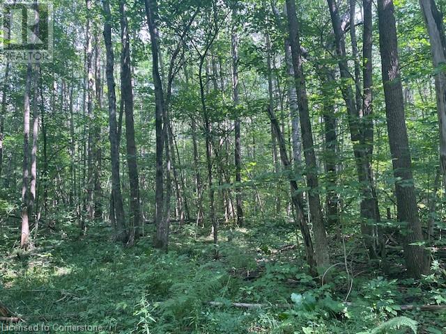 Pt Lt44 24th Side Road, Chatsworth, Ontario  N0H 1R0 - Photo 13 - 40638895