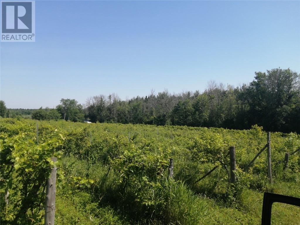 19307 Kenyon Concession  Rd7 Road, Dunvegan, Ontario  K0C 1J0 - Photo 19 - 1409061