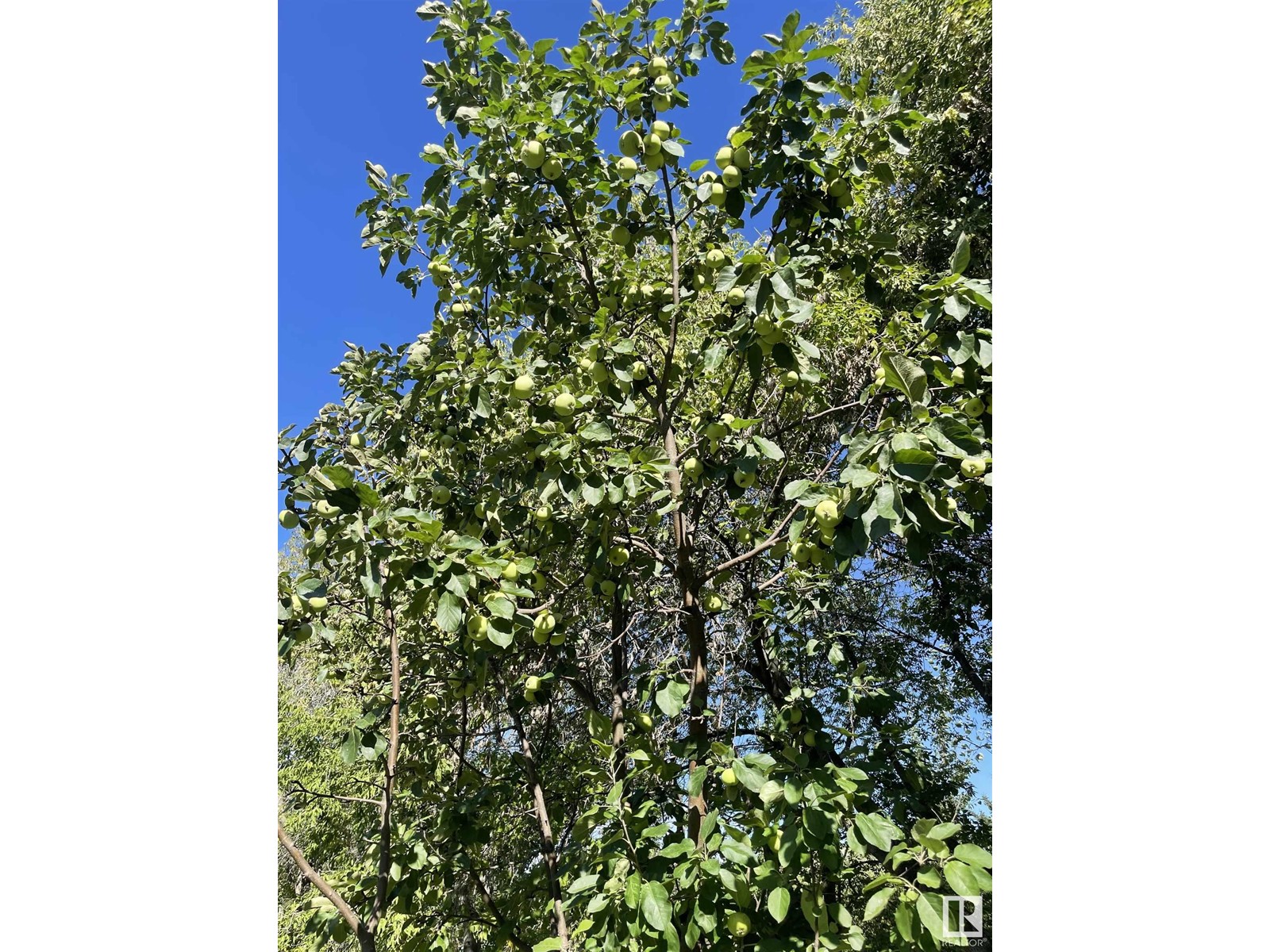 191059 Twp Rd 665, Rural Athabasca County, Alberta  T0A 0E0 - Photo 68 - E4403933