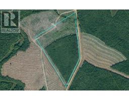 Lot Douglas Road, Coates Mills, New Brunswick